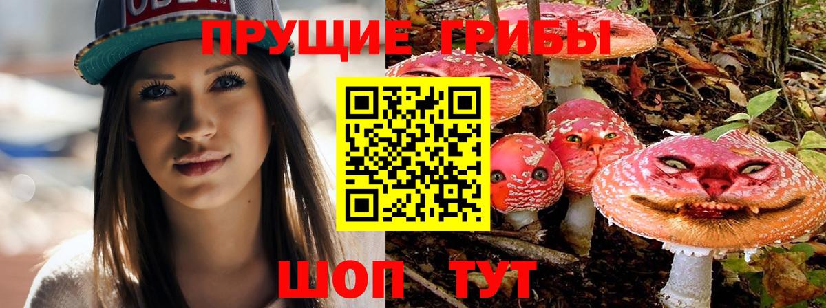 Псилоцибиновые грибы GOLDEN TEACHER Трёхгорный